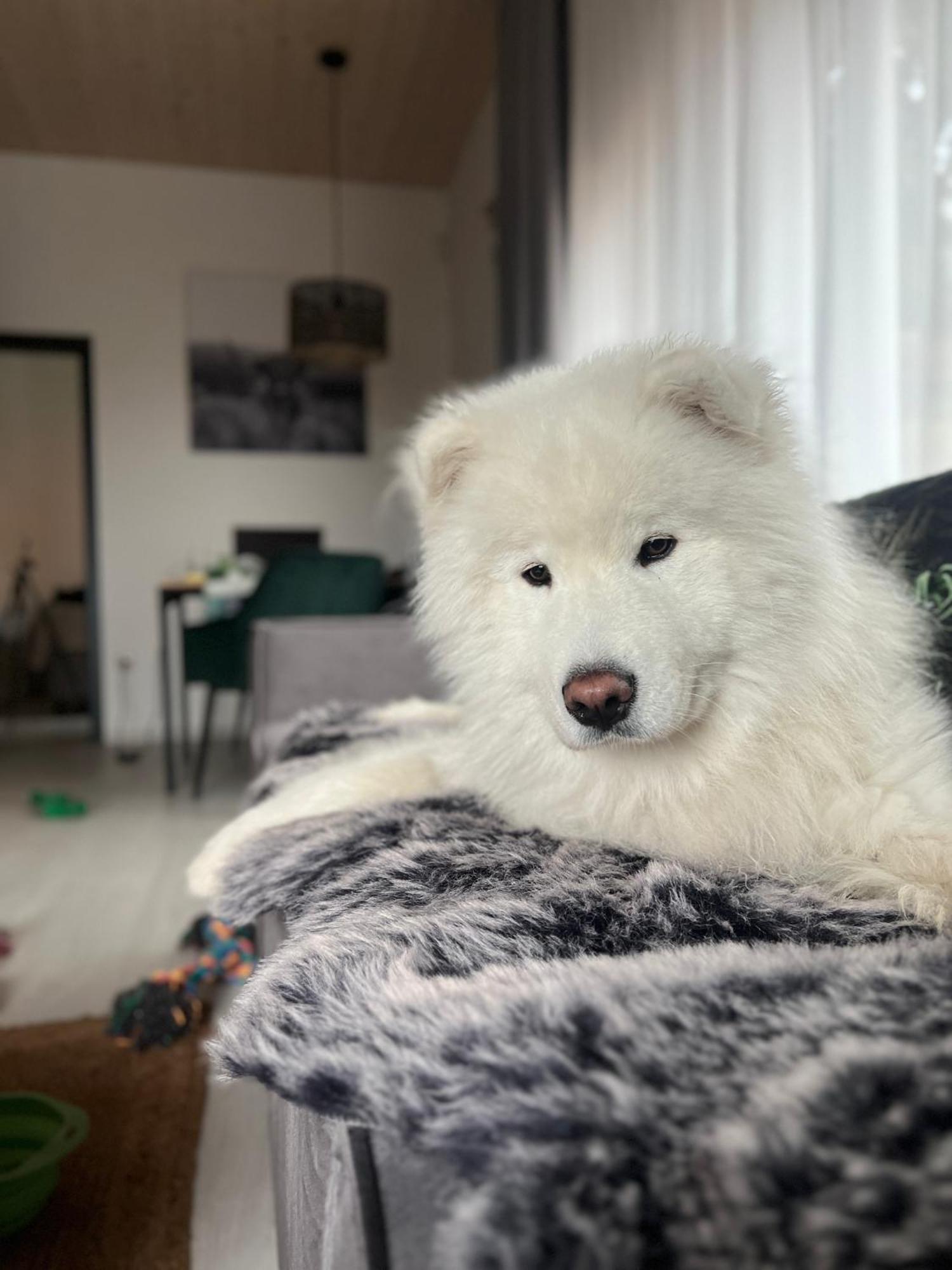 Apartman Othila , Apartman V Demanovskej Doline Liptovsky Mikulas Luaran gambar